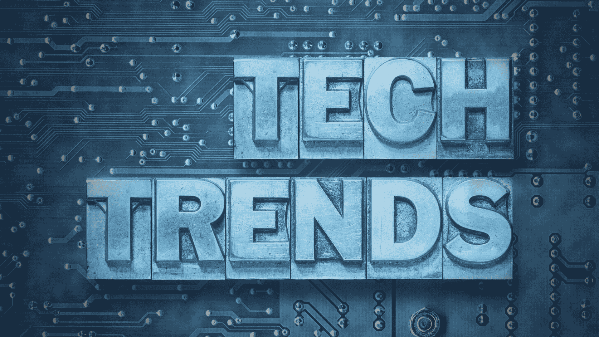 Afbeeldingen website (8)